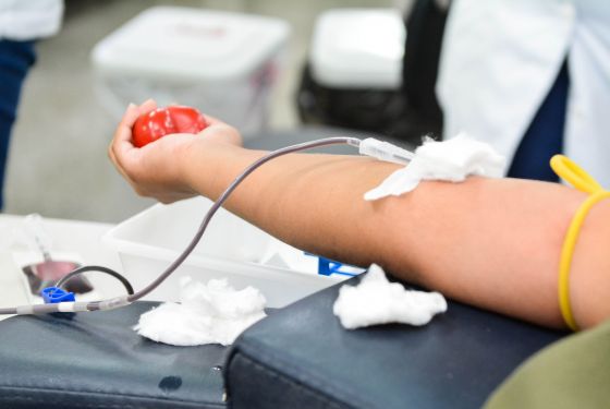 Doação de Sangue LGBT