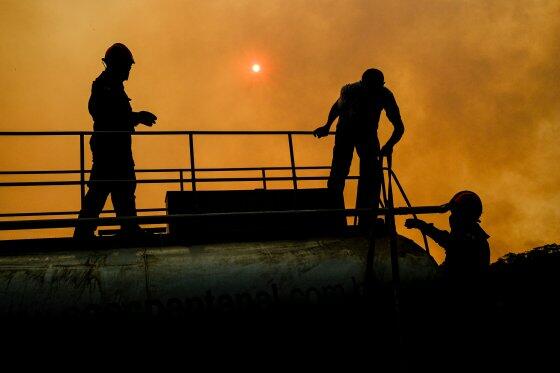 INCENDIO PANTANAL