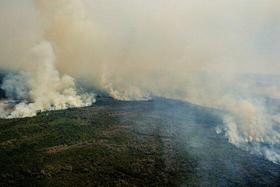 pantanal fogo