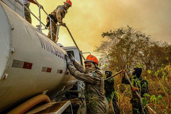 pantanal incendio