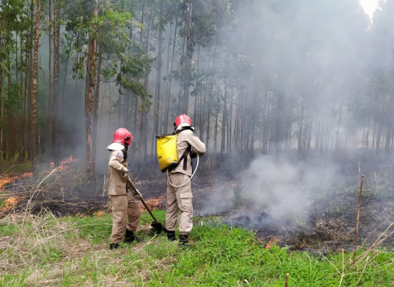 COMBATE A INCÊNDIO