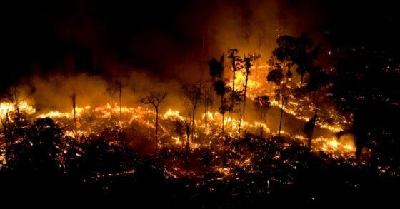 queimadas pantanal 1.jpg