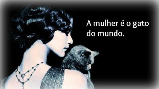 mulher é gato do mundo