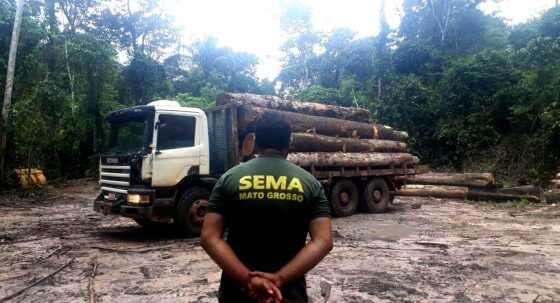 desmatamento Ilegal