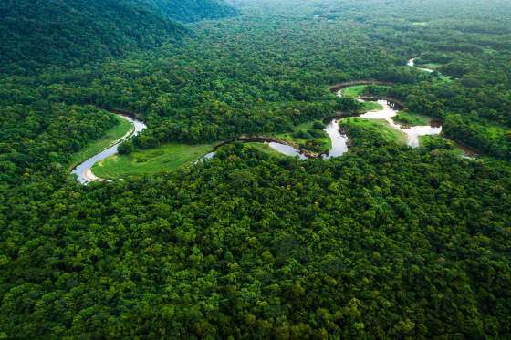 amazônia