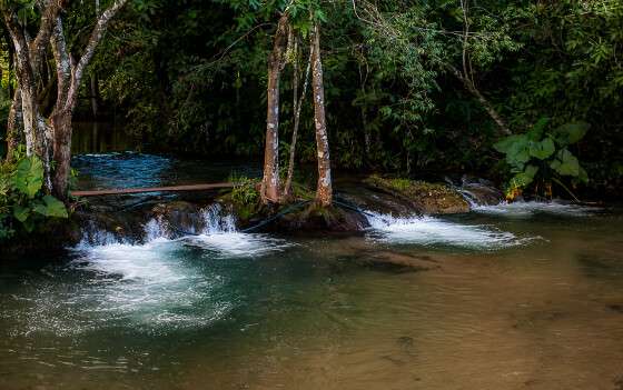 AGUAS