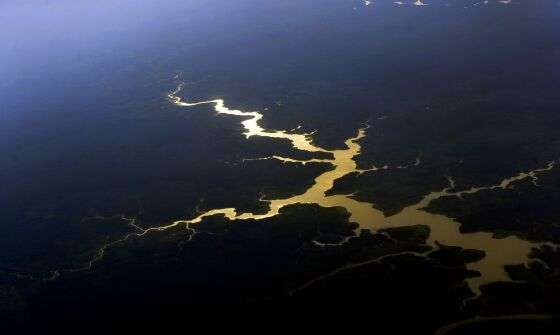 brasil biodiversidade