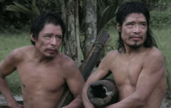 indios isolados