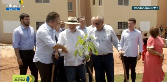 lula