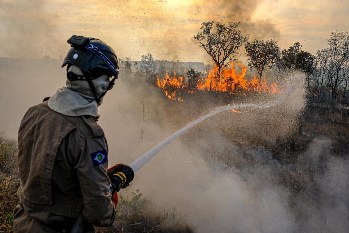 Incêndio no Pantanal