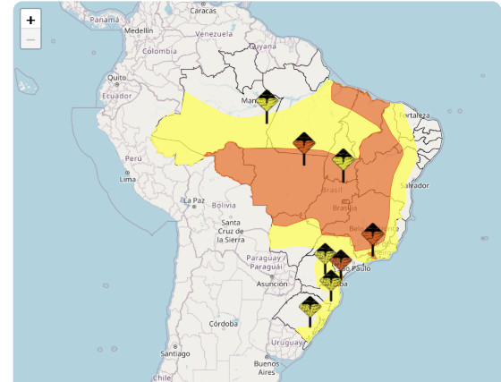 alerta laranja MT