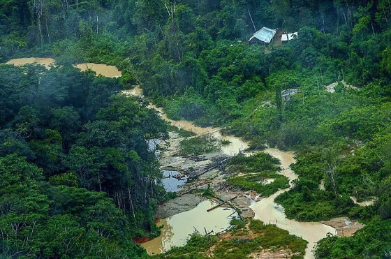 Terra Indígena Yanomami