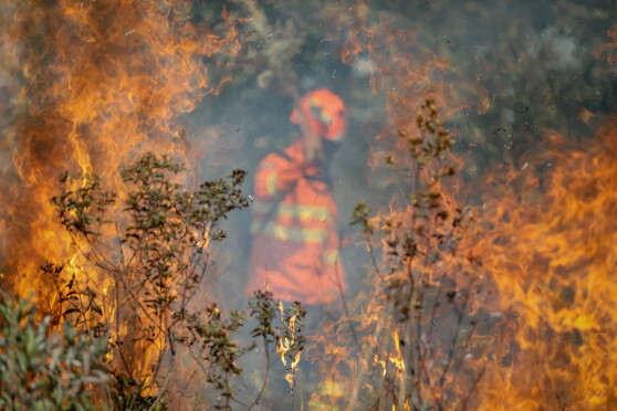 bombeiros Chapada