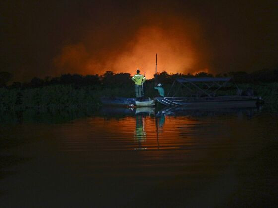 incendio pantanal