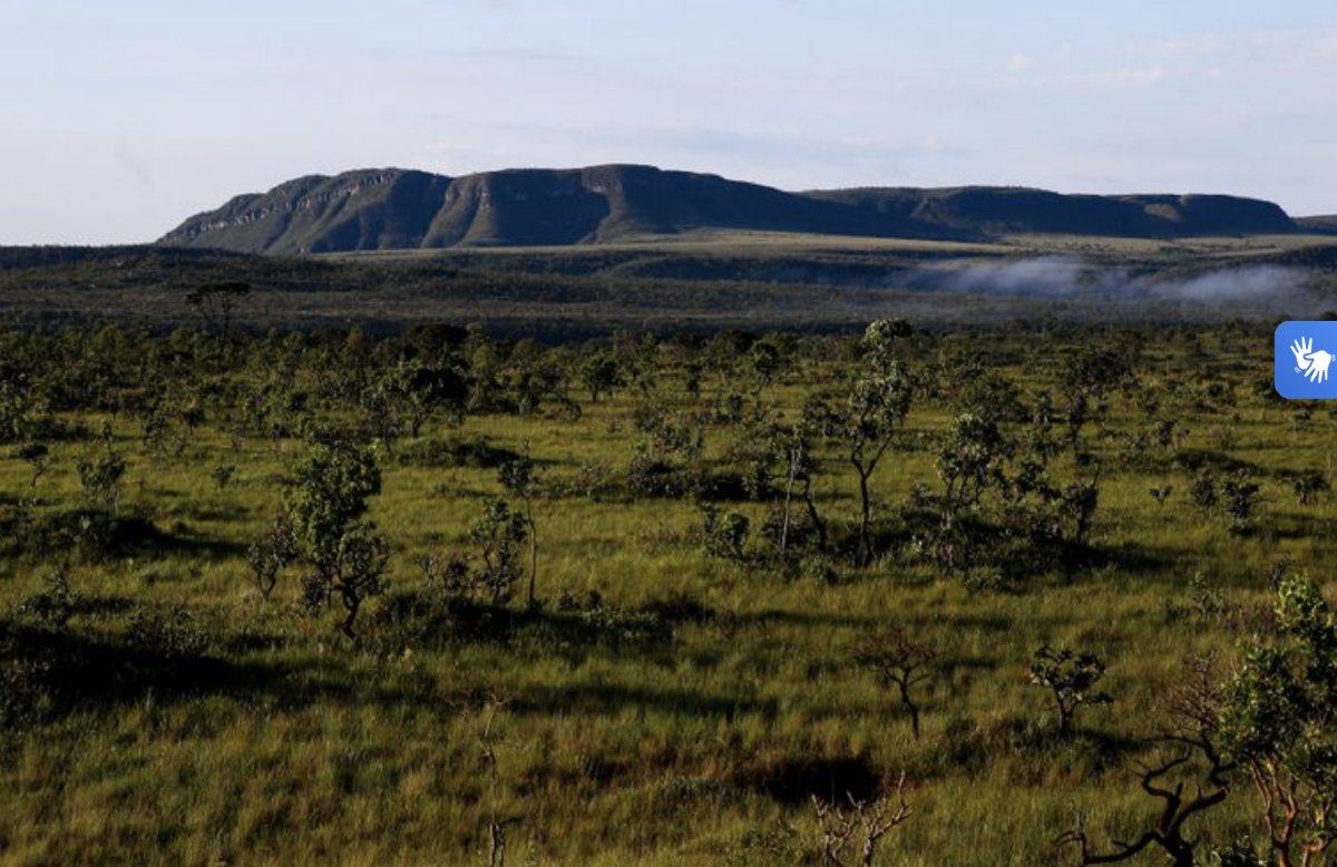 Cerrado
