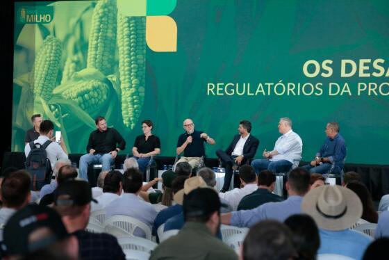 abertura da safra milho