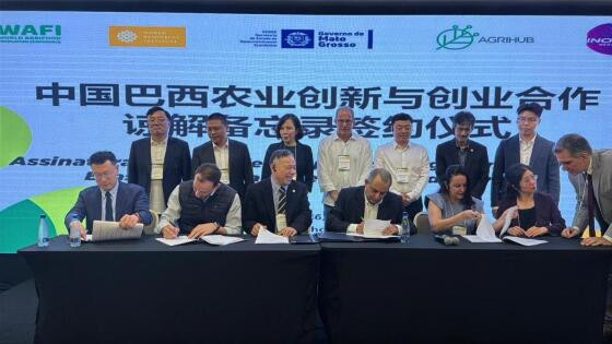 Forum Brasil-China