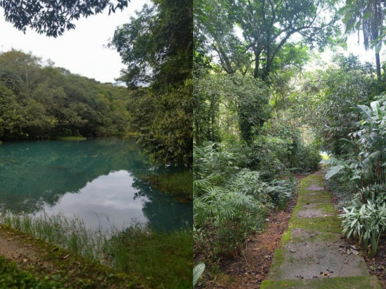 parque da quineira