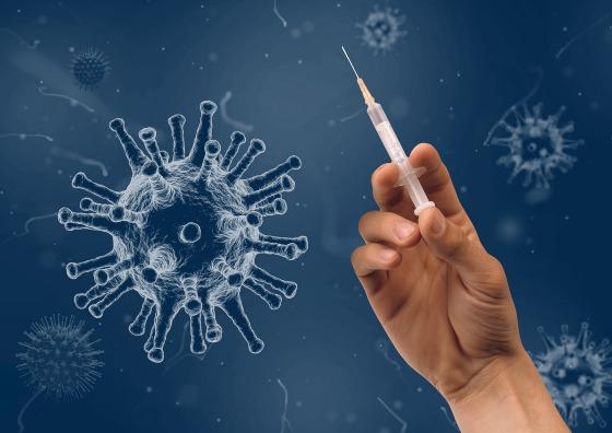vacina HPV