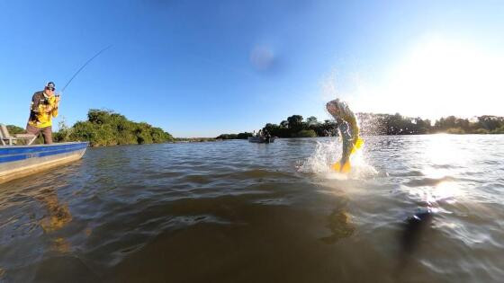 Pesca esportiva