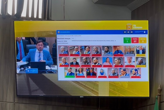 VOTAÇÃO CÂMARA VG