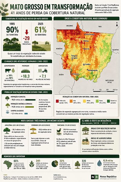 Infografico desmatamento