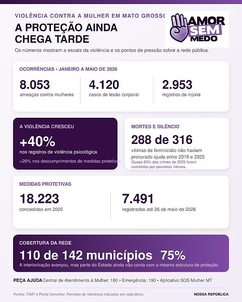 Amor Sem Medo - Infográfico
